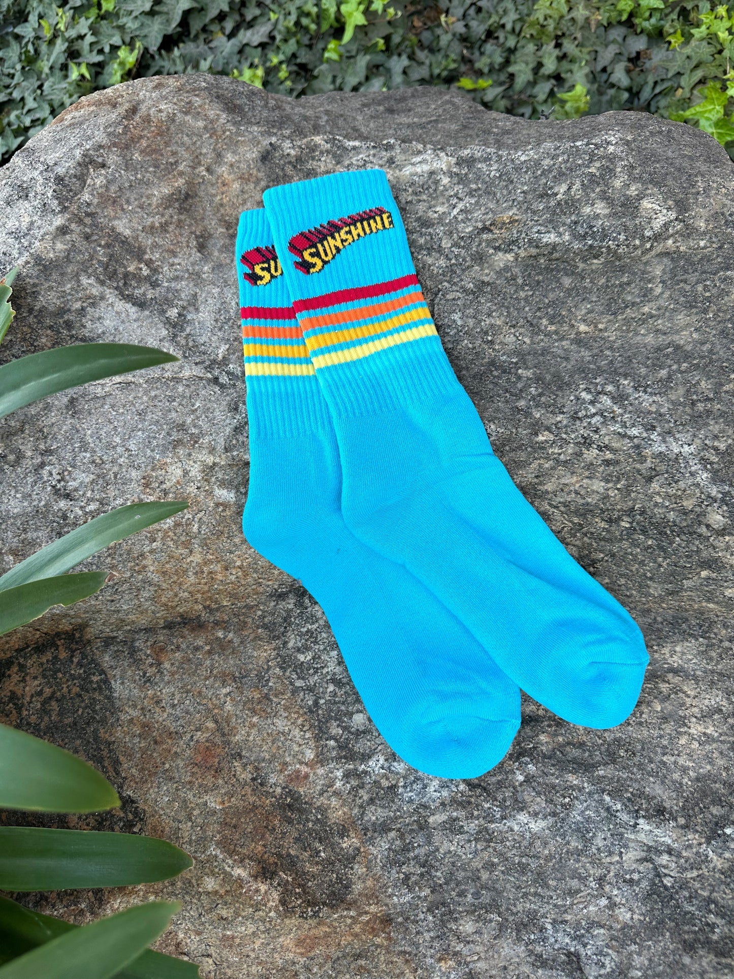 Sunshine Team Socks - 2021